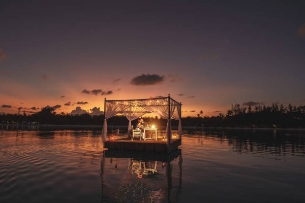 Destination Dining